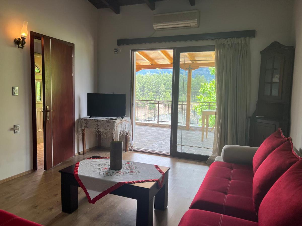 Anastasia'S Guest House Πρεμετή Εξωτερικό φωτογραφία